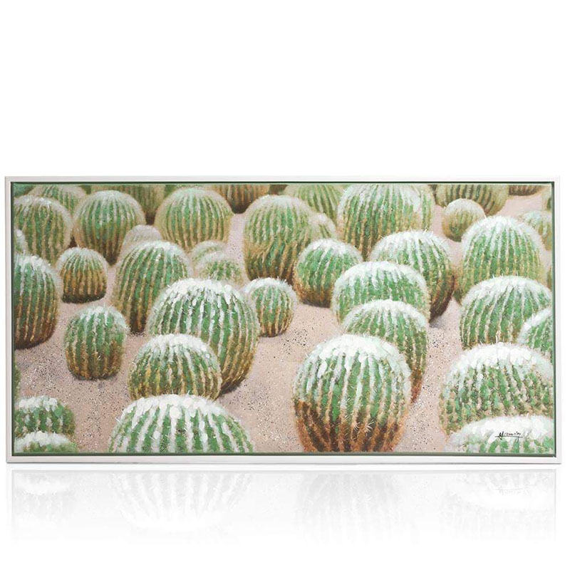 obraz cactus